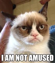I am not amused - Not Amused Grumpy Cat - quickmeme via Relatably.com