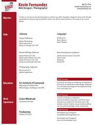 Image result for professional resume