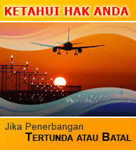 Hasil gambar untuk Permenhub No 77 Tahun 2011 tentang Asuransi Delay Pesawat, Bagasi Hilang dan Kecelakaan