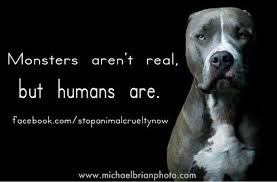 End Animal Cruelty now. | *{Quotes &amp; sayings}* | Pinterest ... via Relatably.com