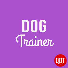 The Dog Trainer's Quick and Dirty Tips for Teaching and Caring for Your Pet