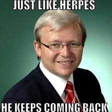 Kevin Rudd&#39;s Win As Told By Memes - Pedestrian TV via Relatably.com