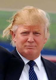Image result for "donald trump