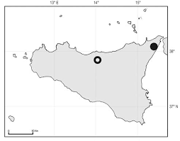 Taxonomical notes on the Sicilian populations of Asperula gussonei ...