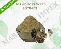 Horny goat weed herb for erectile dysfunction