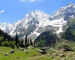Thajiwas glacier, Kashmir
