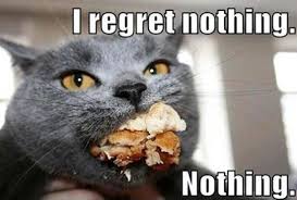 i regret nothing cat eating, i regret nothing meme via Relatably.com