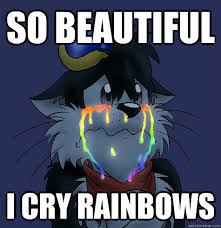 So beautiful I cry rainbows - I cry rainbows - quickmeme via Relatably.com