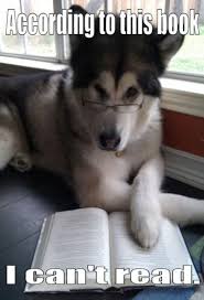 According to this book... funny Such a studious dog | Funny cat ... via Relatably.com