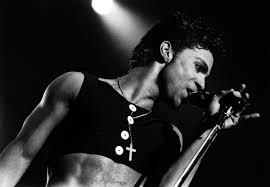 Image result for free google images of Prince Rogers Nelson