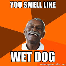 You smell like wet dog - Wise Nigra | Meme Generator via Relatably.com