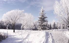 Image result for winter images
