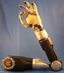 Image result for prosthetic leg and limb