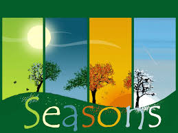 Image result for seasons pictures