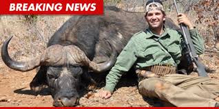Image result for donald trump jr shoots elephant
