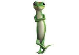 Image result for geico
