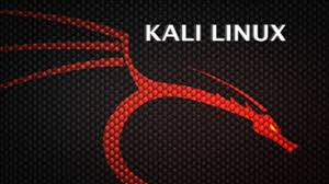 Image result for linux kali