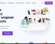 Supplier of the dropshipping website