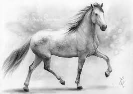 Image result for horse fantasy pictures