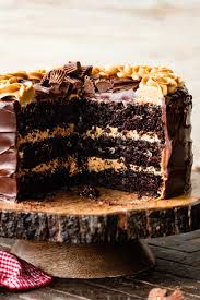 Chocolate Peanut Butter Cake (Recipe + Video) - Sally's Baking ...