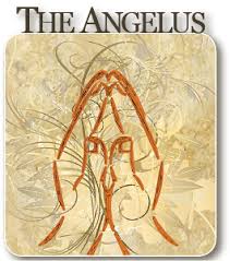 Image result for angelus prayer