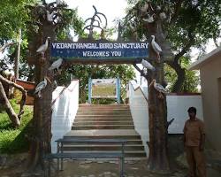 Image of Vedanthangal Bird Sanctuary, Kanchipuram