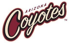 Image result for arizona coyotes