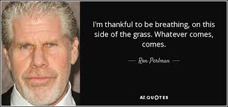 TOP 25 QUOTES BY RON PERLMAN (of 62) | A-Z Quotes via Relatably.com