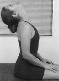 Image result for neck stretches