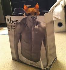 Image result for cat with paper bag on head