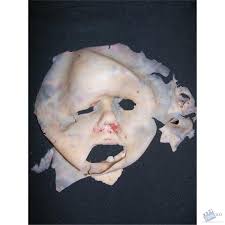 Silicone face of Val (Andrea Leon) Movie Prop from 2001 Maniacs: Field Of Screams (2010) @ Online Movie Memorabilia ... - 4568d1338953427-silicone-face-val-andrea-leon-21162_0268_4_lg