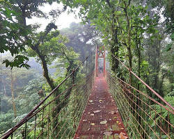 Image of Monteverde Cloud Forest Reserve, Central America