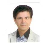 Expert Author Hashem Shemshadi - Hashem-Shemshadi_51585