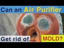 Do air purifiers work on mold <?=substr(md5('https://encrypted-tbn2.gstatic.com/images?q=tbn:ANd9GcTkoG3ssfh2a1x-ehC2Ls4bNATQBJsOtwy5_Ve9FBwB9ZnP5nwa70iD7xQ'), 0, 7); ?>