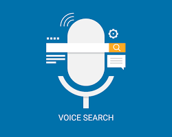 Image of Voice Search Optimization