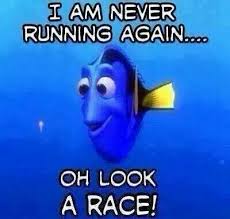 A blue fish with clearly a short memory overlaid with the text 'I am never running again....oh look, a race!'