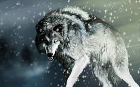 The Un-RPed Wolves Of The True Ice Pack *They ARE Adoptable* Images?q=tbn:ANd9GcTlOxWIDTzIJOsR7WyR0AT_C2fEdTeTp5p8UoPe9BYuS3CQbaxu