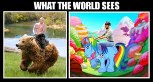 Image result for funny pictures macho putin vs gay obama
