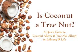 Is Coconut a Tree Nut? Are Coconut Food Products Safe for Nut ...