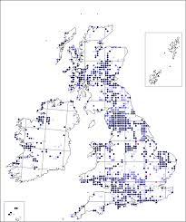 Arabis hirsuta | Online Atlas of the British and Irish Flora