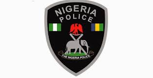 Image result for pic of nigerian police