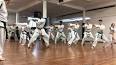 Video for taekwondo patterns do-san