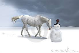 Image result for winter horse image