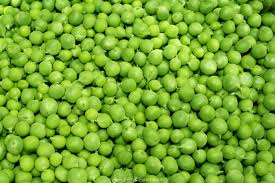 Image result for images of canning of fresh peas