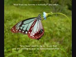 Beautiful Butterfly Quotes to Inspire You! - YouTube via Relatably.com