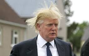 Image result for donald trumps hair