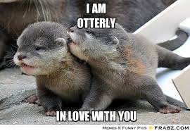 I am Otterly in love with you. #Meme | Cool &amp; Cute Stuff ... via Relatably.com
