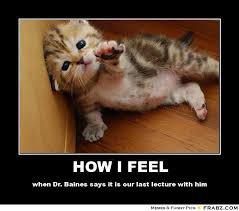 HOW I FEEL... - Helpless Kitten Meme Generator Posterizer via Relatably.com