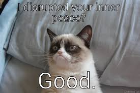 Grumpy Cat memes | quickmeme via Relatably.com