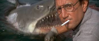 Image result for Jaws 1975 film stills